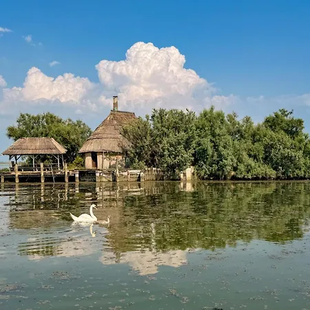 And Apts. In Lignano 21694